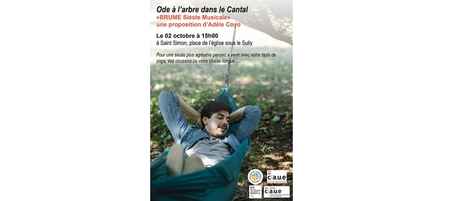 CAUE Saint Simon low