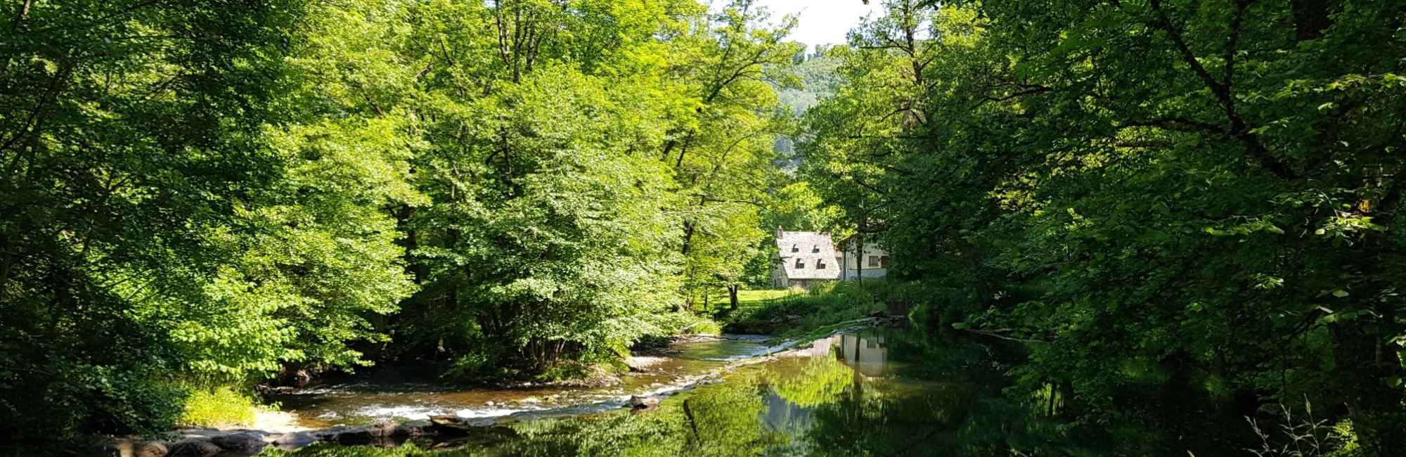 Moulin 2000 x 650